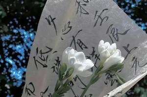 等待的人生、耐心与坚持（等待的人生、耐心与坚持）
