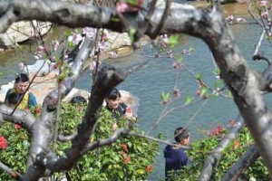 温暖凡间（一颗心的力量）