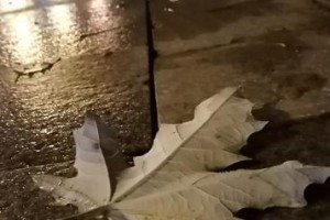 窗外雨点滴滴答，一份爱的承诺（男子为救女孩勇敢拼搏，雨夜成就一段爱情）