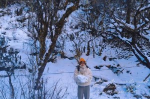 冬日的雪景