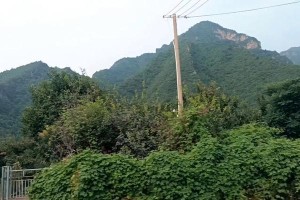 快乐假日：两个人的惊喜之旅