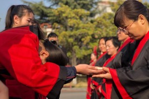 传统文化，永不熄灭的光芒（一个少年的传统文化探索之旅）