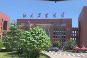 二：走进校园，映入眼帘的是翠绿的草坪和细嫩的花朵，它们在清晨的阳光下闪着晶莹的光芒，让人心情愉悦。
