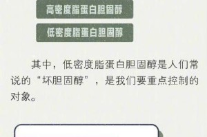 炒出美味人生（一个学会炒菜的小女孩）