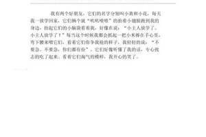 我的好朋友小黄（一个快乐、自信、坚强的四年级女孩）