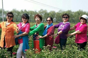 感恩有你——姐姐的陪伴（一个姐妹淘间的温暖故事）