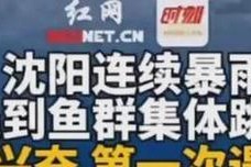 挑战梦想，追寻兴奋（一个人的成长历程）