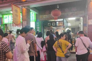 相伴到永远（女孩与小猫咪之间的故事）