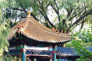 美丽岁月（人生之路）