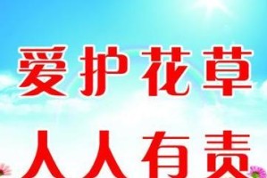 花开人间，爱在其中（珍爱花草，呵护绿色家园）
