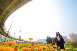 奔向美好（他们如何在经历挫折后追求美好的未来）