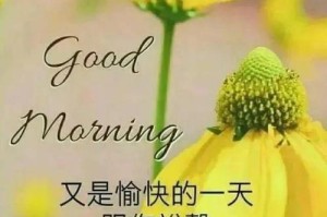 点亮心灵的正能量（以身边为镜，看到最美好的自己）