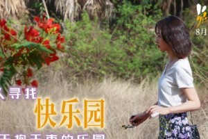 芳香之恋（追寻身世的少女与一瓶香水的故事）