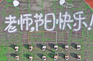花开时节，人间有爱（花开时节，人间有爱）