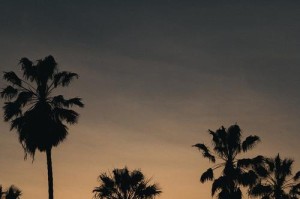 清晰的目标（一个年轻人的成功之路）