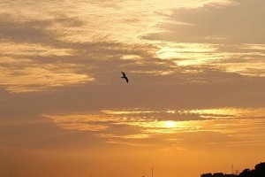 晚霞，告别了春天（花田里的晚霞与少年的成长）