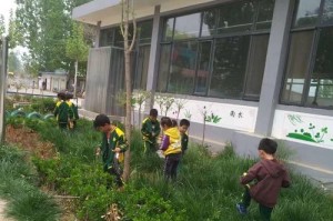 用爱与关怀点亮生命的阳光（一个母亲的爱心故事）