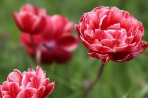 责任的沉重与担当（从心出发，以责为先）