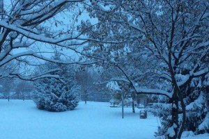 寻找阳光（漫步在雪中的寻找之旅）