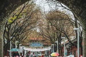 春雨如酥，滋润我心（一场春雨让我重拾自己）