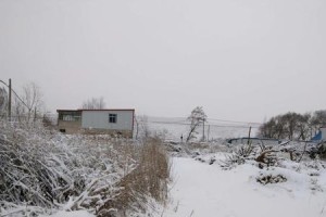 冰雪中的乡愁（冰雪中的乡愁）