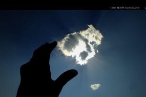 我自己的天空（一个少年的成长故事）