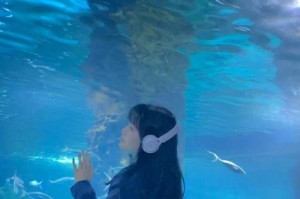 海洋馆探秘之旅：与鲨鱼的激情相遇