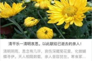 无尽的思念，永恒的爱（以家人为主角，写下缅怀的故事）