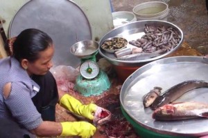 杀鱼记（一条鱼的生命，一次人的体验）