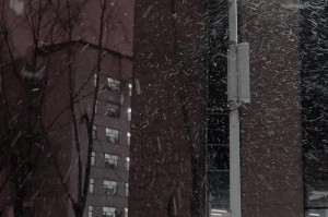 下雪的夜晚（一位神秘女子的故事）