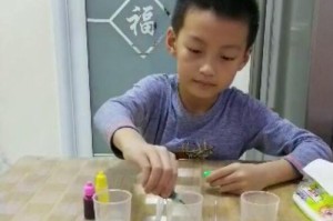 小芳的实验奇遇（探索世界的好奇心）