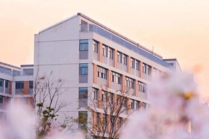 追寻校园之美（探秘校园里的美景）