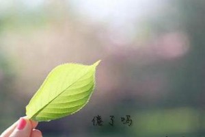 一堂难忘的数学课（我和我的数学老师）