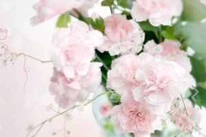 伟大的心（面对挫折，勇往直前）