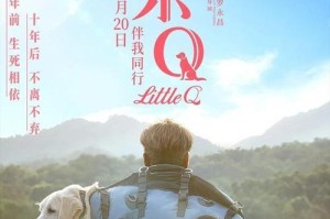 一个孤独的男孩和一只特殊的狗的故事（一个孤独的男孩和一只特殊的狗的故事）