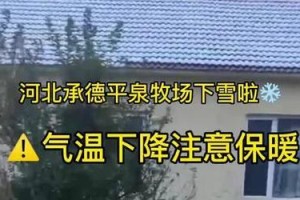 昨夜下雪了（探寻雪夜的美丽）