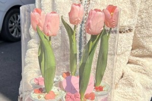 妈妈是我的女神（母爱如山，无私无尽）