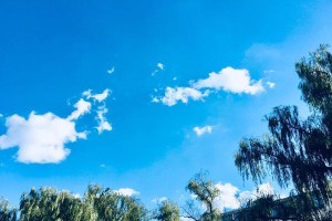 夏日校园漫步：用心感受青春时光