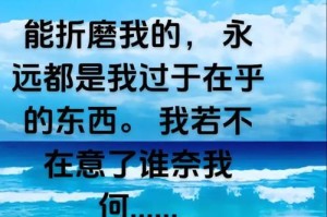 阳光总在风雨后（阳光总在风雨后）