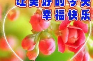阳光欢笑的生活（追逐梦想的人生）