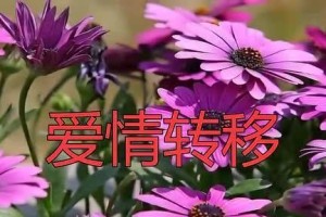 她的声音，温暖了我的心灵（她的声音，温暖了我的心灵）