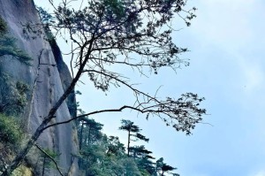 《诗篇之旅》（一个人的生命与爱情）