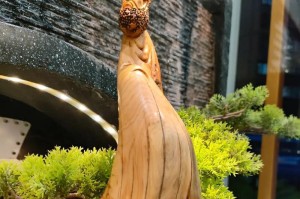 漂向前方——一个梦想的故事（不怕浪花拍岸，只为实现梦想）