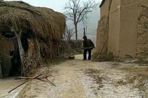 一粒种子、一片土地、一份辛苦、一份收获（一粒种子、一片土地、一份辛苦、一份收获）