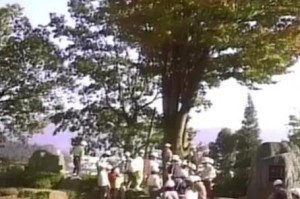“重拾遗落的美景”——捡起被遗忘的美好