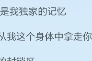 与我同行的陪伴者（记忆中永不凋零的真情）