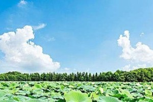 真正的温暖不只是暖气（真正的温暖不只是暖气）
