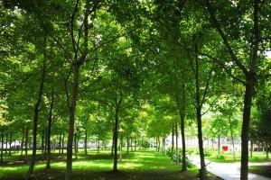 用青春为自己点赞，让生命从此绽放（用青春为自己点赞，让生命从此绽放）