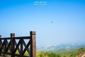 转身看风景（发现人生的美好）