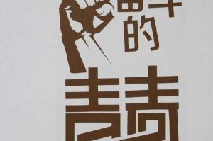 梦想成真的故事（一个年轻人如何通过努力奋斗实现自己的梦想）